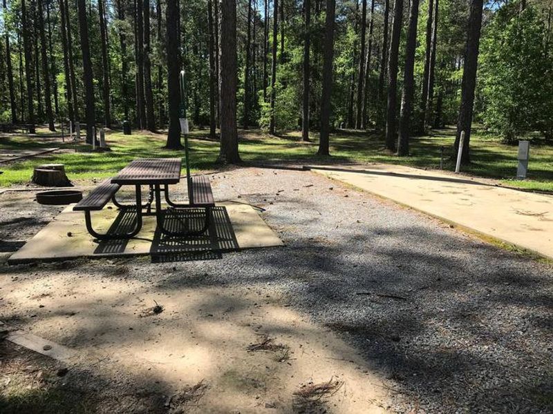 Shaded Class A Campsite #3. RV pad, water, and 20/30/50 AMP electric hook-ups as well as basic campsite amenities including a picnic table, lantern post, fire ring, trash can and grill.