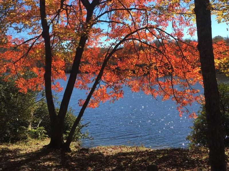 Price Lake can be viewed from several sites on the A Loop of Julian Price Campground.