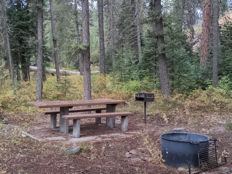 Ponderosa Campground