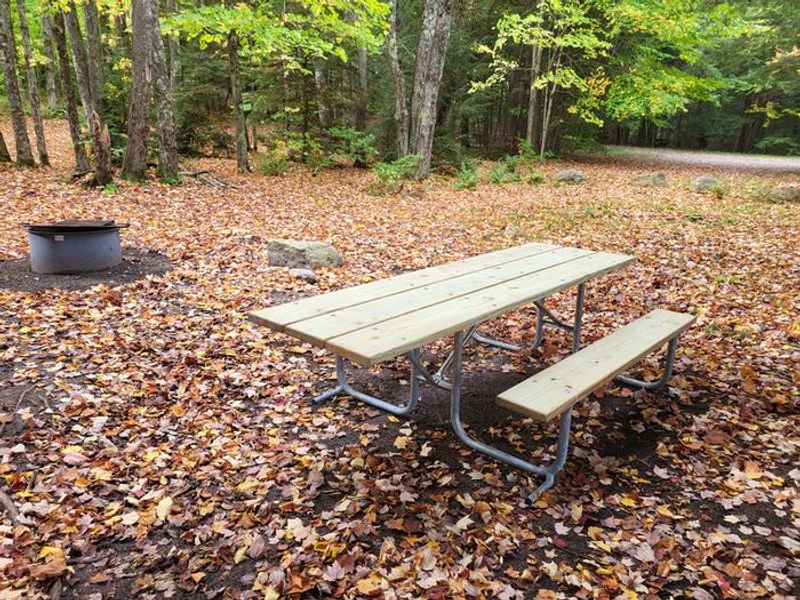  Campsite located at Minerva Lake