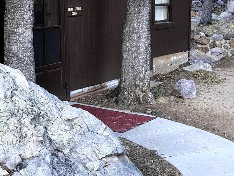Kent Springs Cabin historic design embraces the natural setting.