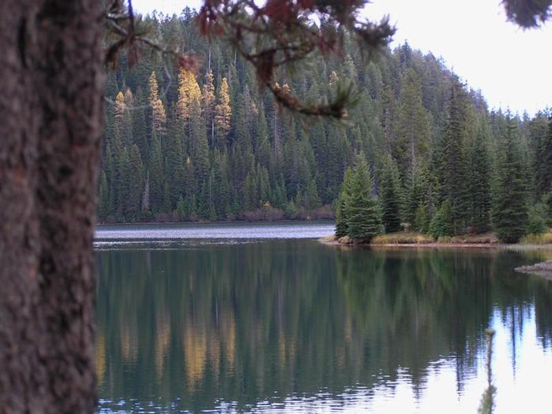 Jubilee Lake SE view of launch towards day use point @ site 13-14