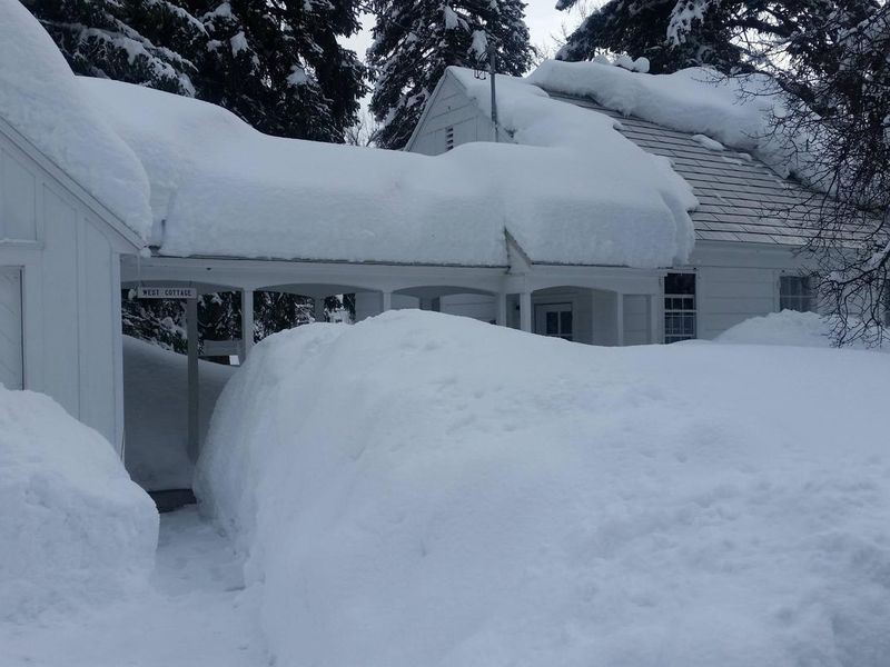 Savenac West Cottage