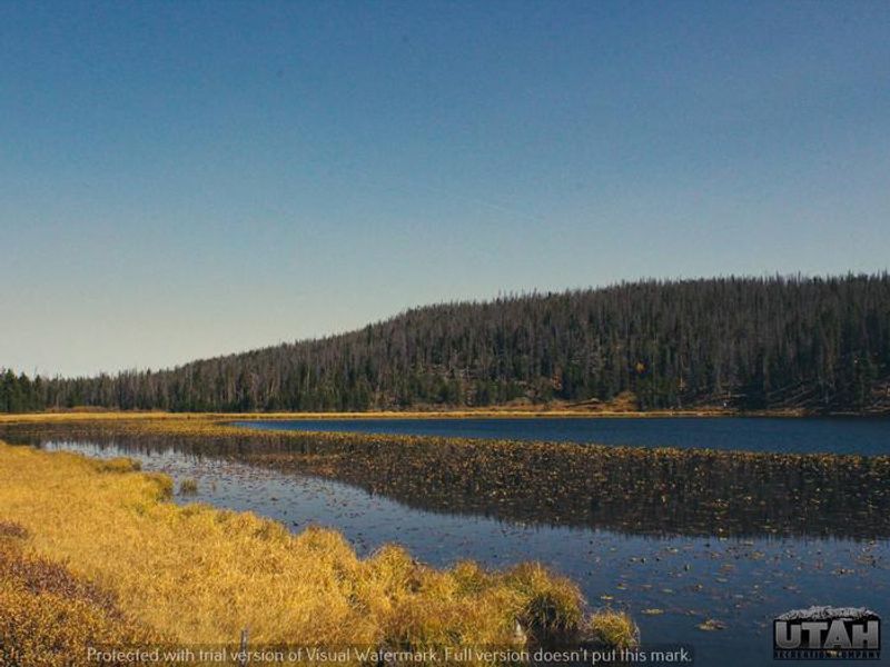 Bridger Lake Campground