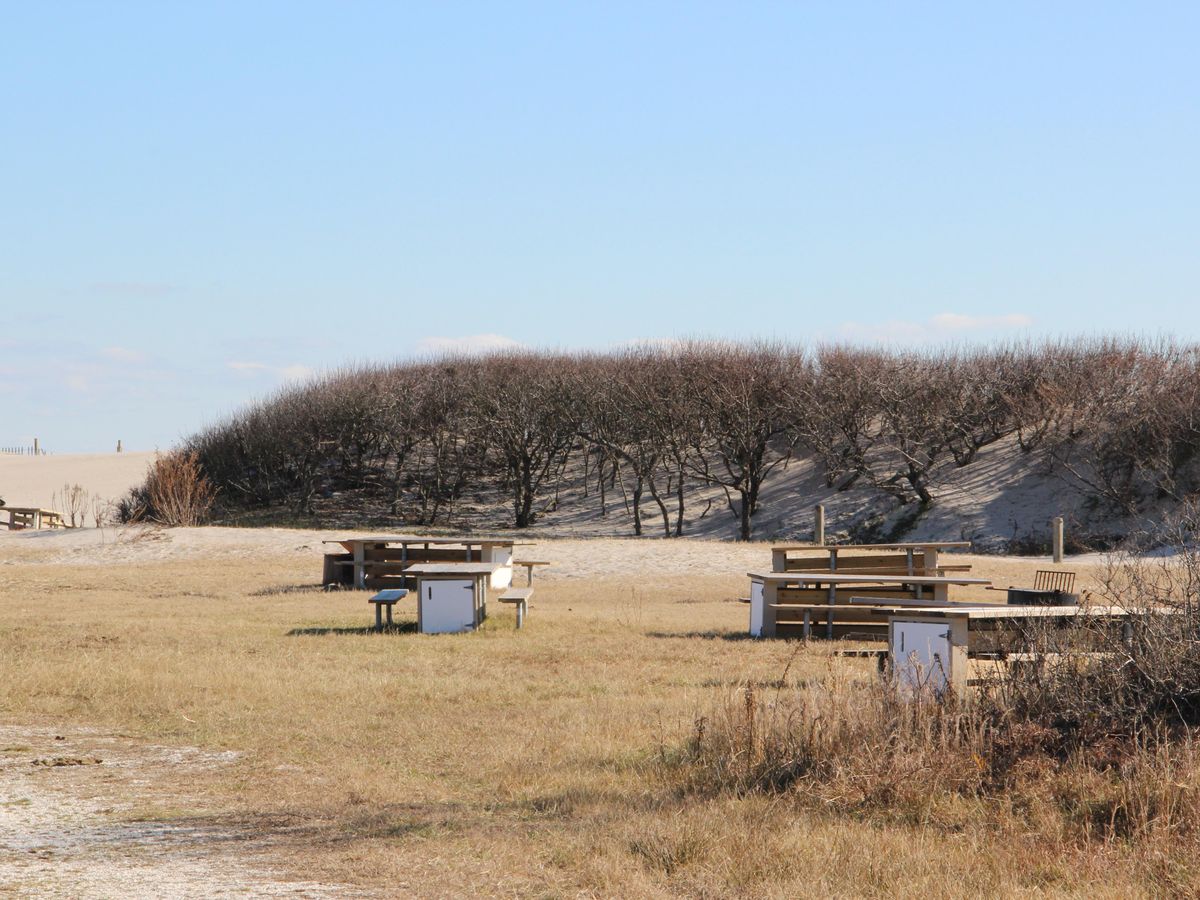 Horse Camping - Photo 2