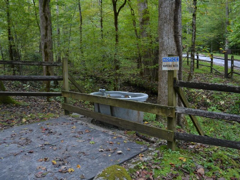 Non-potable water trough for horses