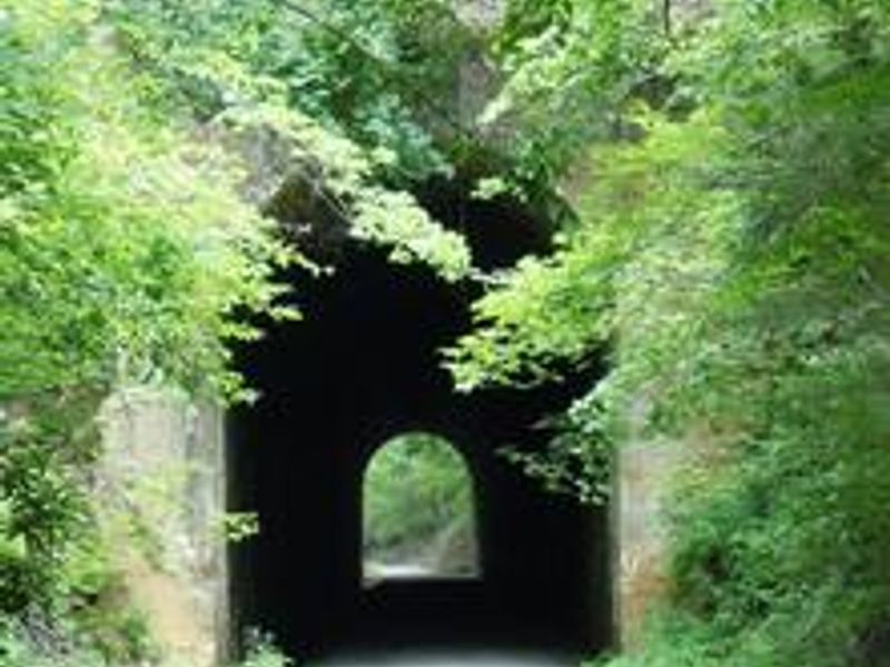 Railroad tunnel on Guest River Gorge Trail