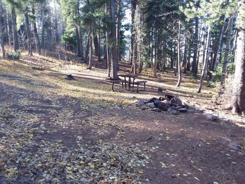 Cutthroat Campground 