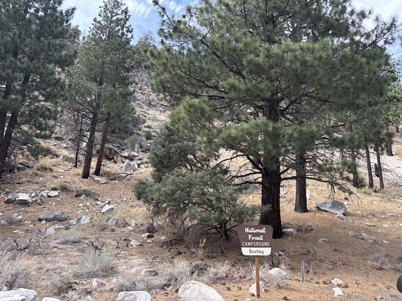 A photo of facility Bootleg with No Amenities Shown