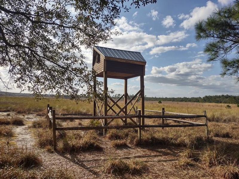 Bat house at campground