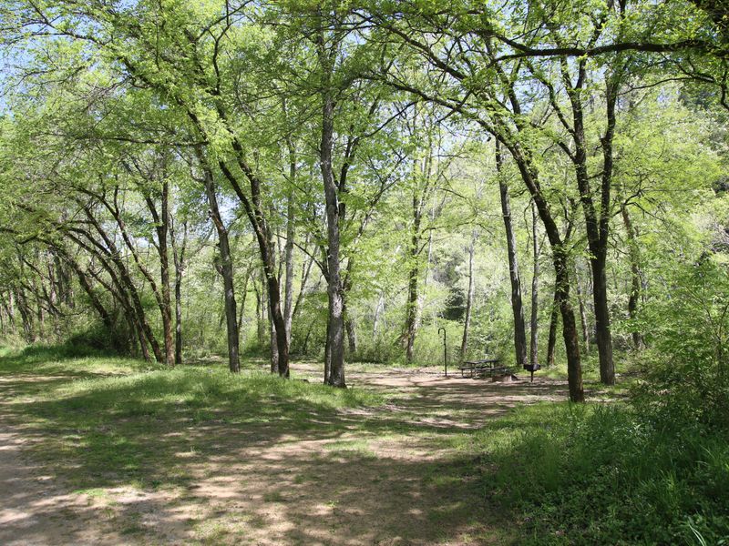 Some campsites offer more shade and privacy than others.