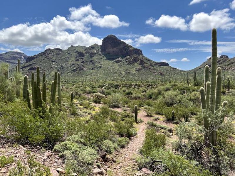 One of many picturesque views along the Alamo Canyon trail.