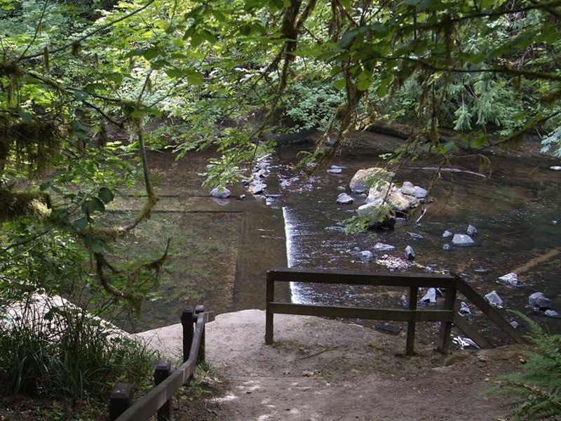 Dam site, Siuslaw River