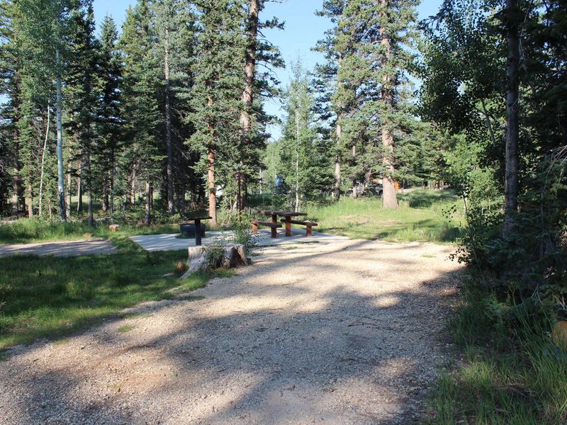 Campsite 39 in the B loop.