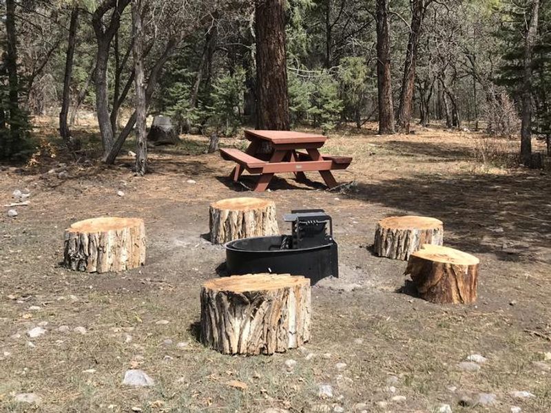 Fire ring/Picnic table area