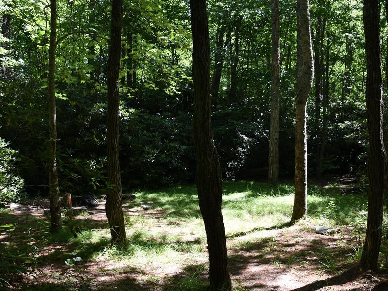 Johns River Road Backcountry Camping Two Sites