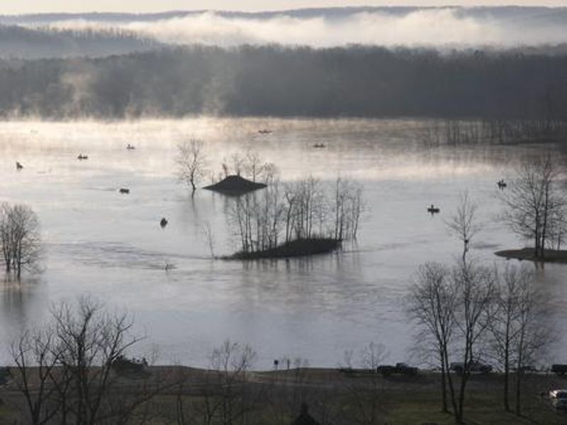 Spoonbill snagging below the spillway.