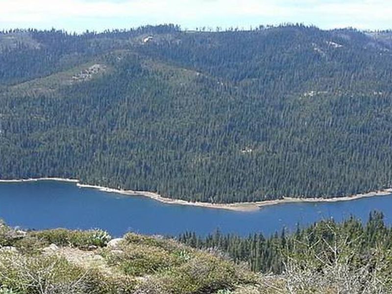 French Meadows on the Tahoe National Forest.