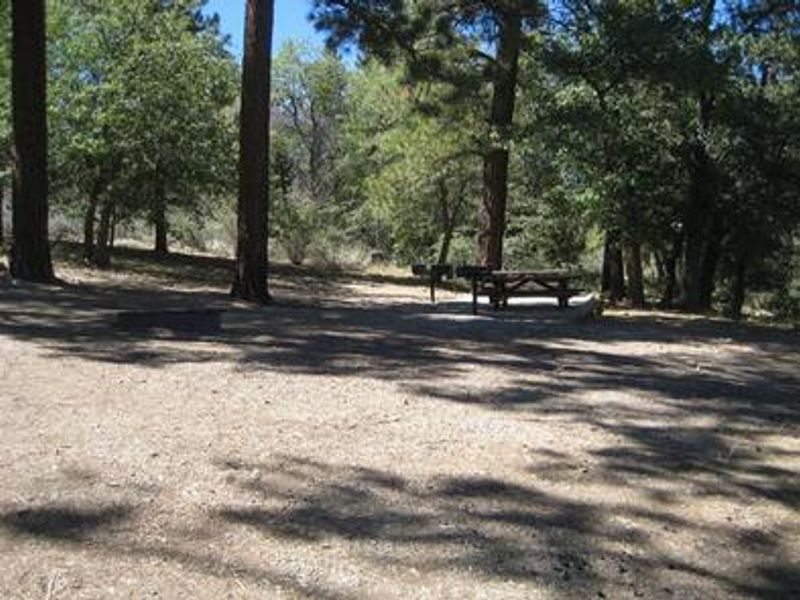 Naturally Shaded Area at Green Spot Equestrian Group Camp