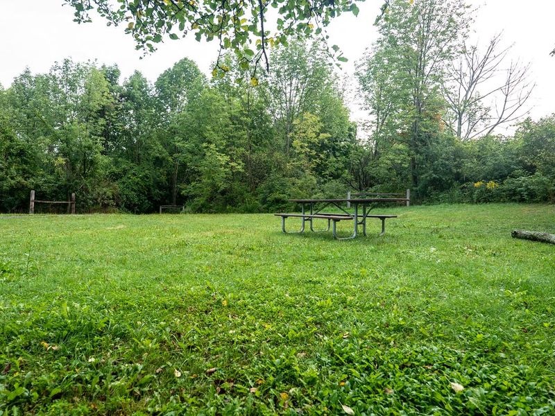 Backbone Horse Campground Sites 1-9