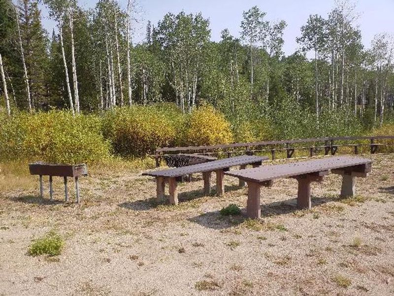 BOTTLE CREEK GROUP PICNIC SITE 2