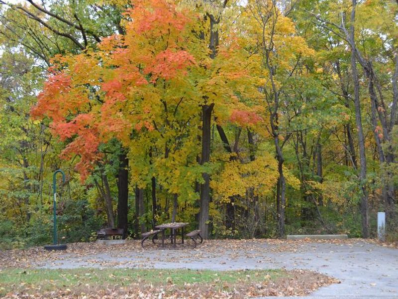 Fall at Lithia Springs