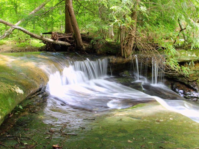 There are numerous falls hidden throughout Grayson Lake. This is just one of many.