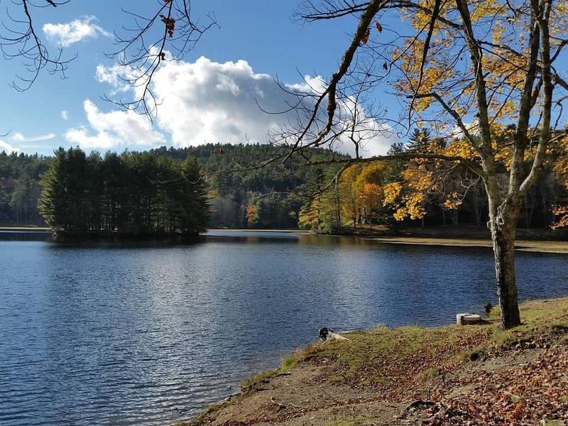 Bass Lake is another popular hiking area.  It's accessible from Blowing Rock with distant views from the Moses Cone Estate on the Parkway.