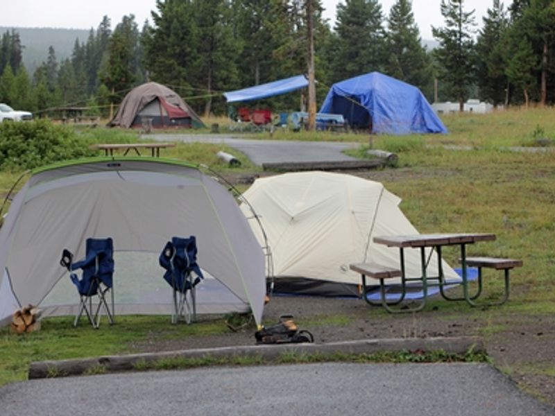 The campground location encompasses woods and meadows and some sites look out on Yellowstone Lake.