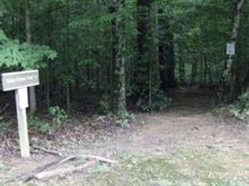 Trailhead located near the amphitheater