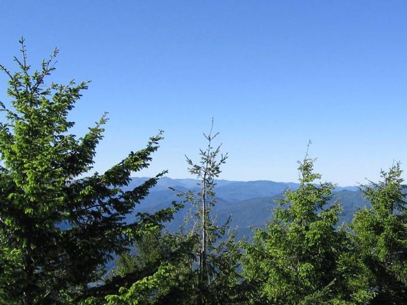 View from Bald Knob Lookout