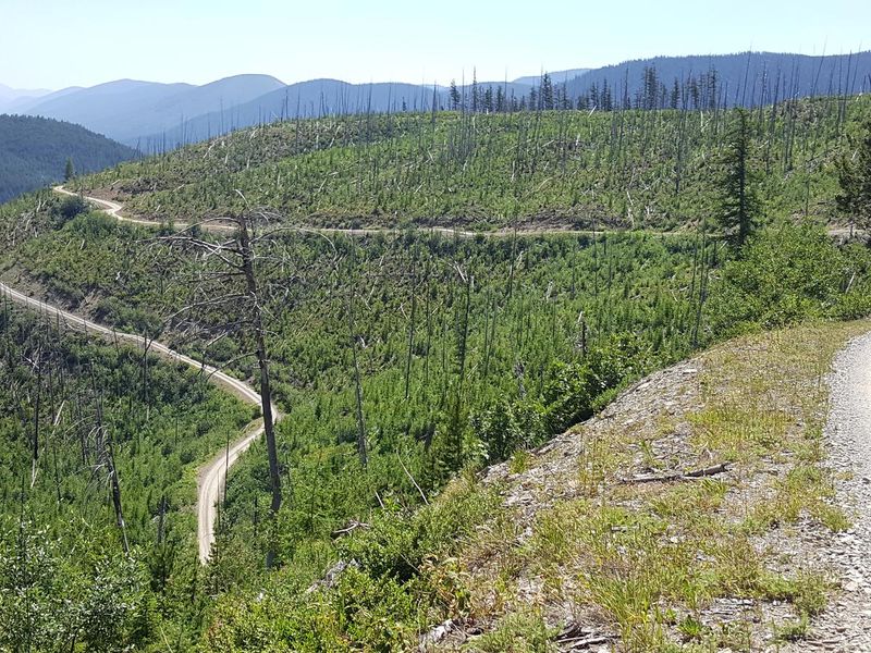 Road to Hornet LO Trailhead