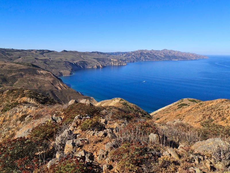 Chinese Harbor, Santa Cruz Island