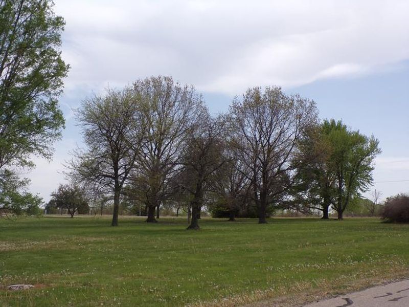 Canning Creek in Spring