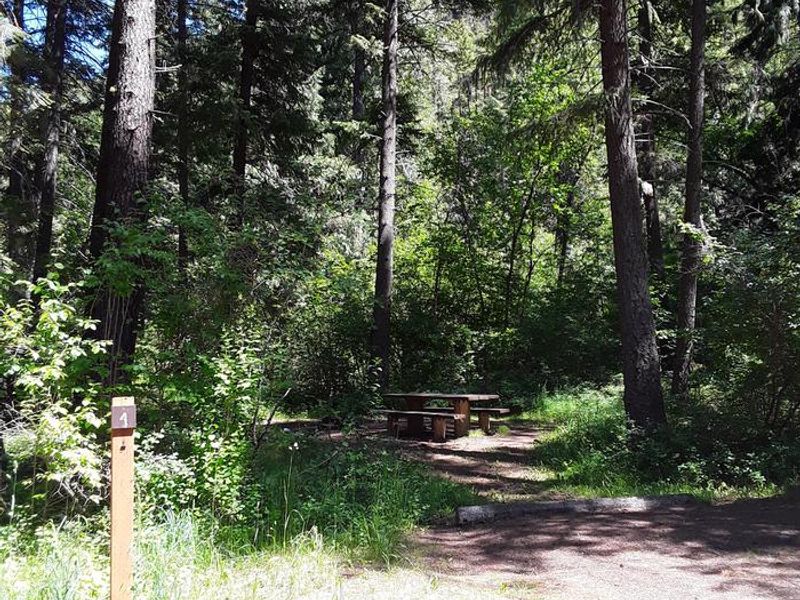 Trout Creek Campground