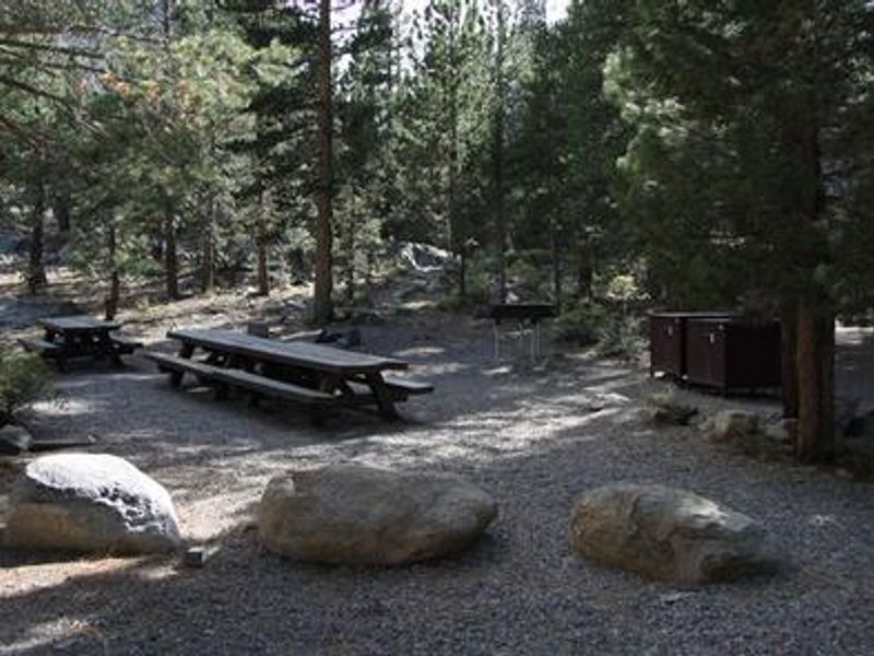 Large Picnic table, Double Bear Box and Firepit