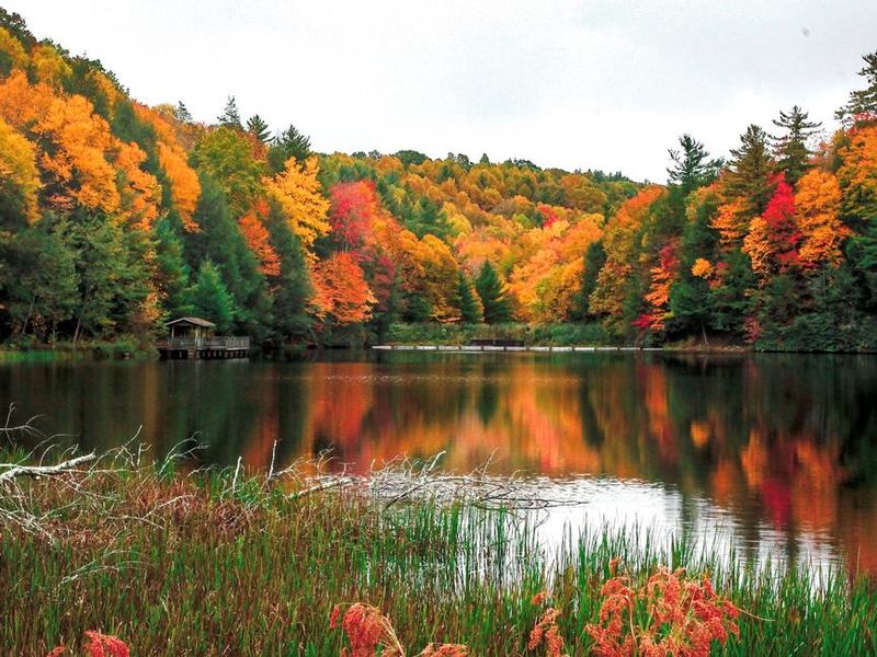 Beartree Lake in all it's Fall splendor