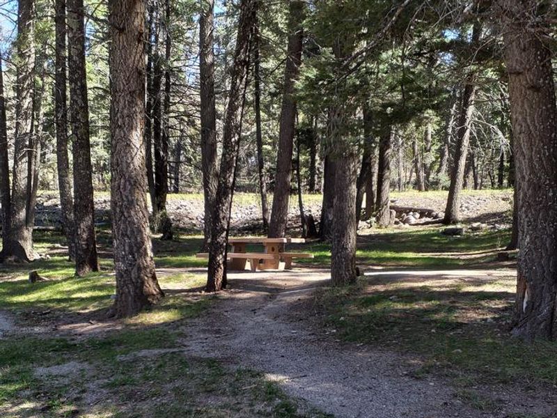 ASPEN Group Campground Picnic Table surrounded by Forest