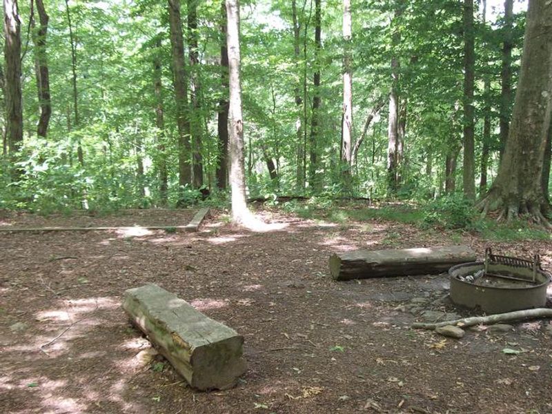 First Creek 2 primitive camp site