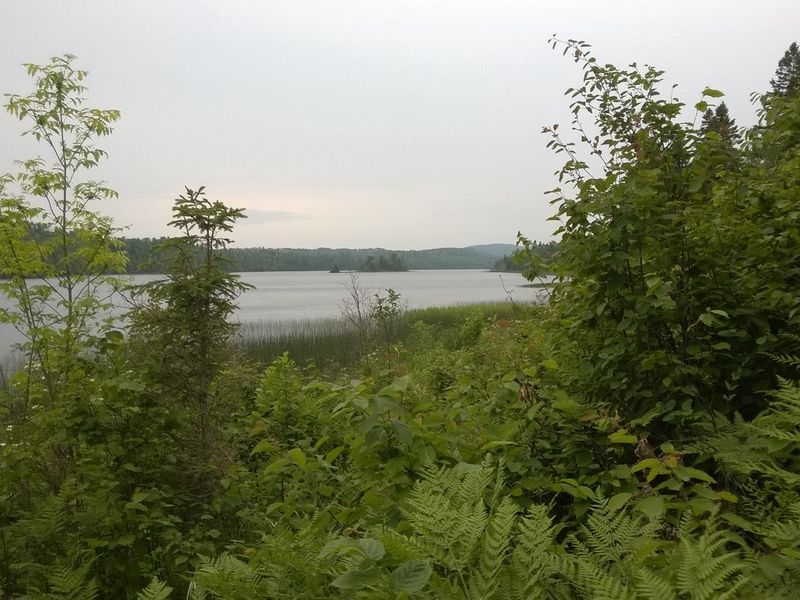 The East Lake Chickenbone Trail travels along Chickenbone Lake for part of the trail.