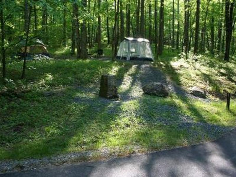 Potable drinking water fountains are throughout the campground. Look in site descriptions to find locations. 