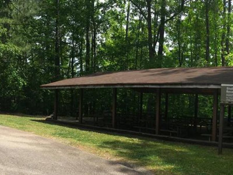 Yellowjacket Shelter