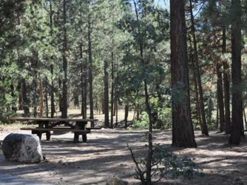 Shade & Picnic Tables of the San Gorgonio Campground