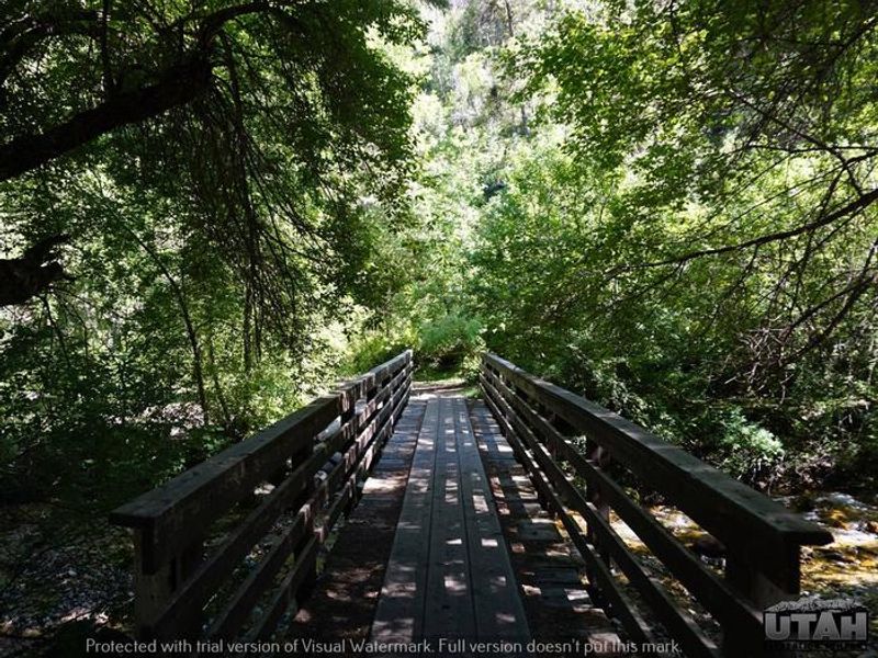 Lower Narrows Campground