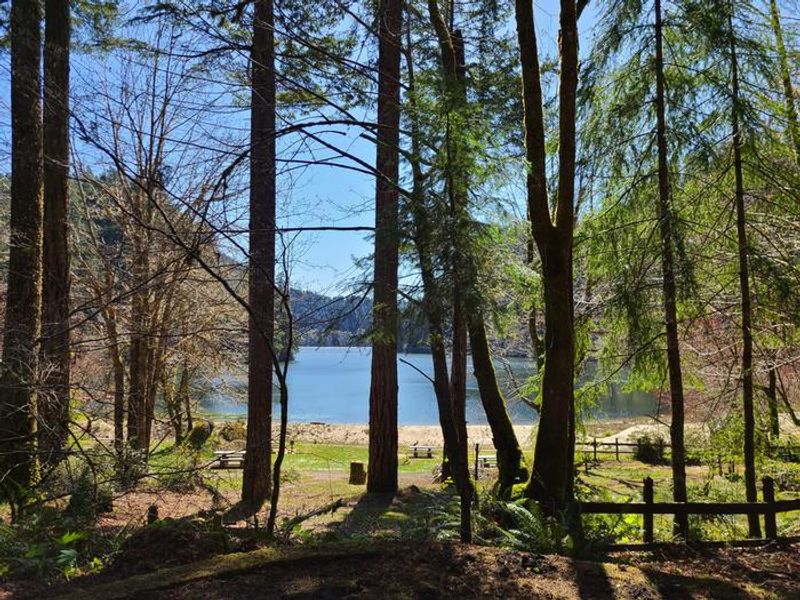 Shady campsite with Loon Lake view in the background.