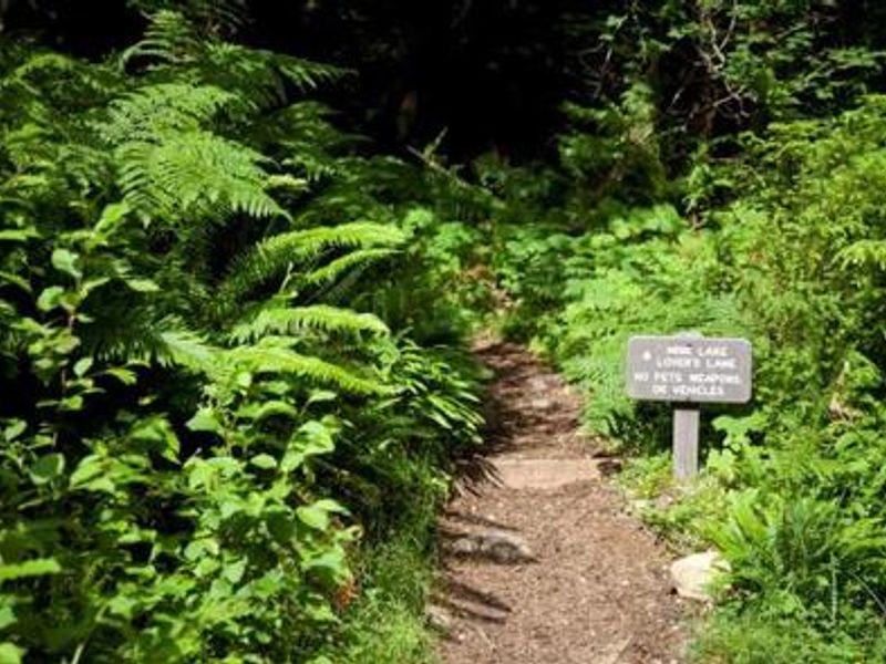 A Trailhead near Sol Duc Hot Springs