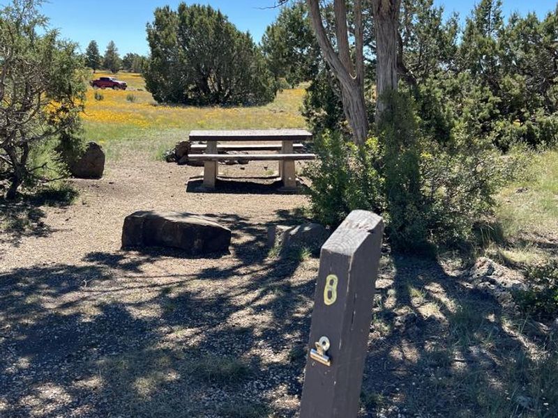 Forked Pine Campground - Site 8