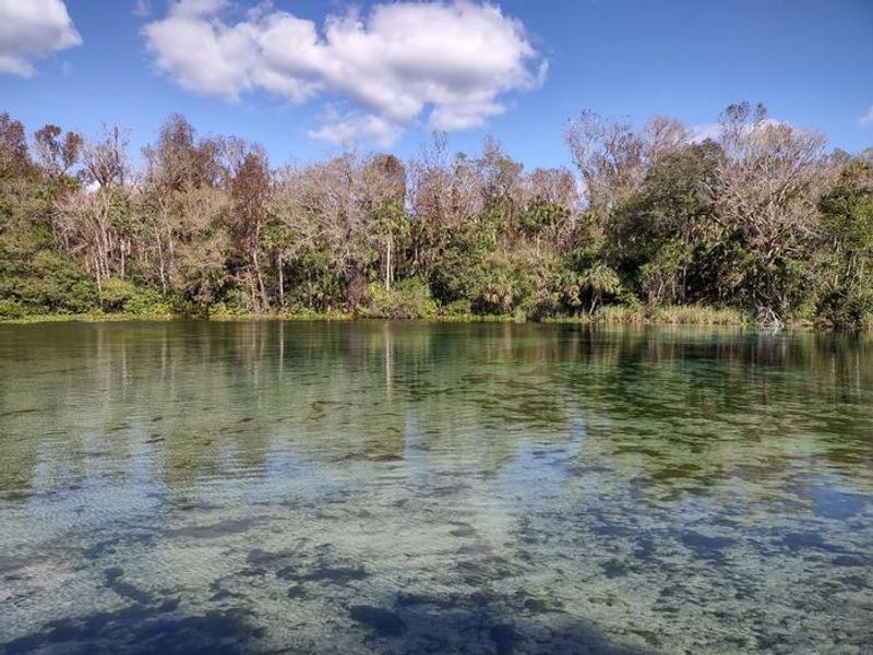 Cool off in 72-degree water at the swimming area!