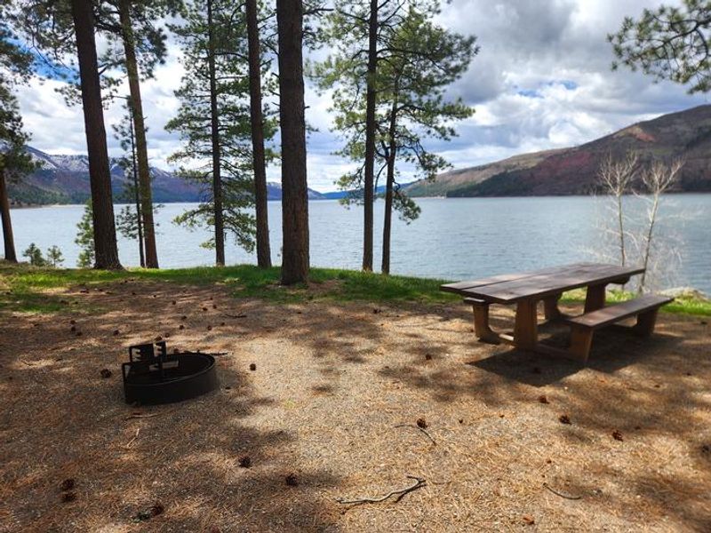 A Premium lake-side site with pine trees