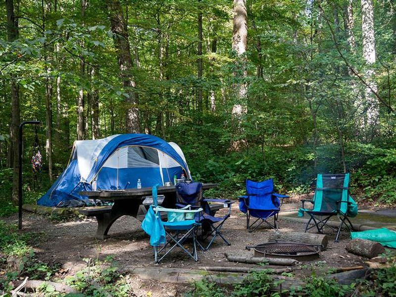 Campsites include a picnic table, fire ring/grill, lantern post, parking pad, and 9 x 9 wood chip tent pad.
